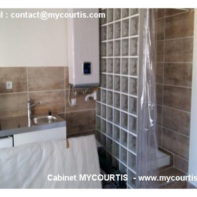 demande devis travaux gratuit mycourtis (113)