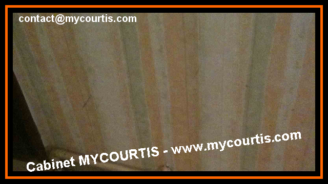 Travaux-Mycourtis (309)